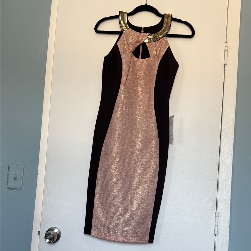 Elegant Black and Pink Dress with Gold Accents